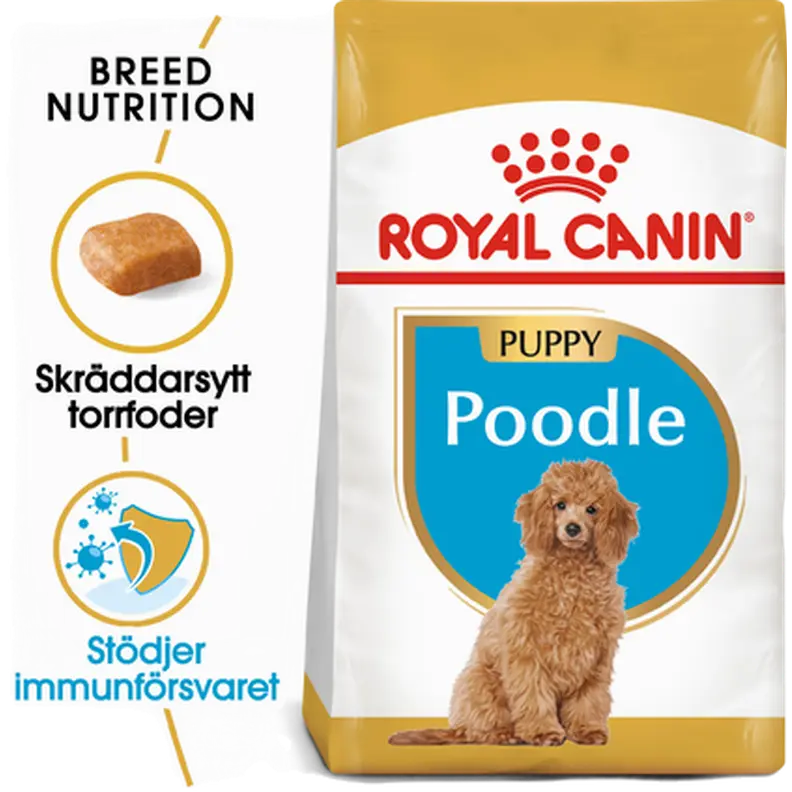 Poodle Puppy Kuivaruoka pennuille