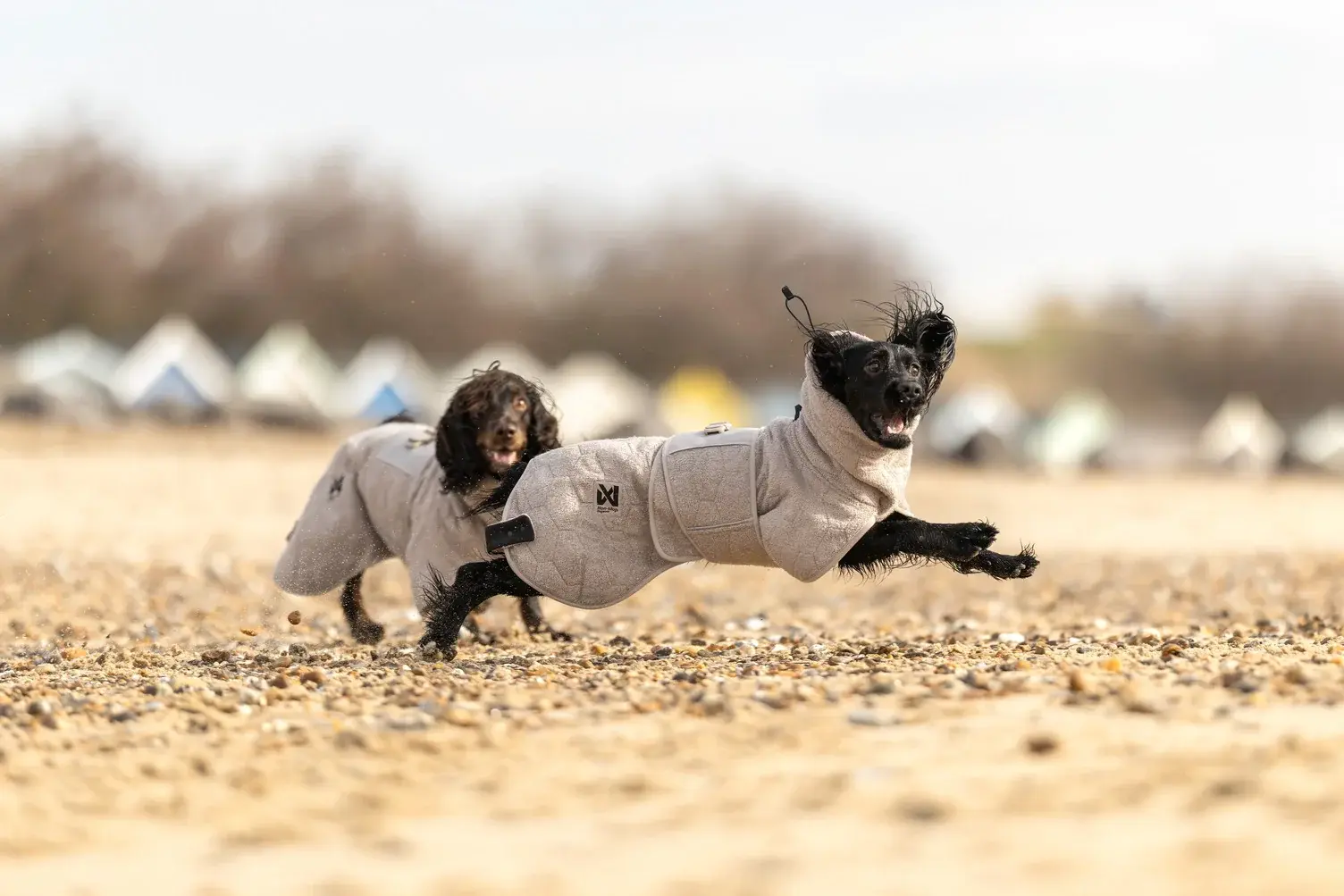 Non-stop dogwear tørrekåbe til hund – hurtig tørring efter bad