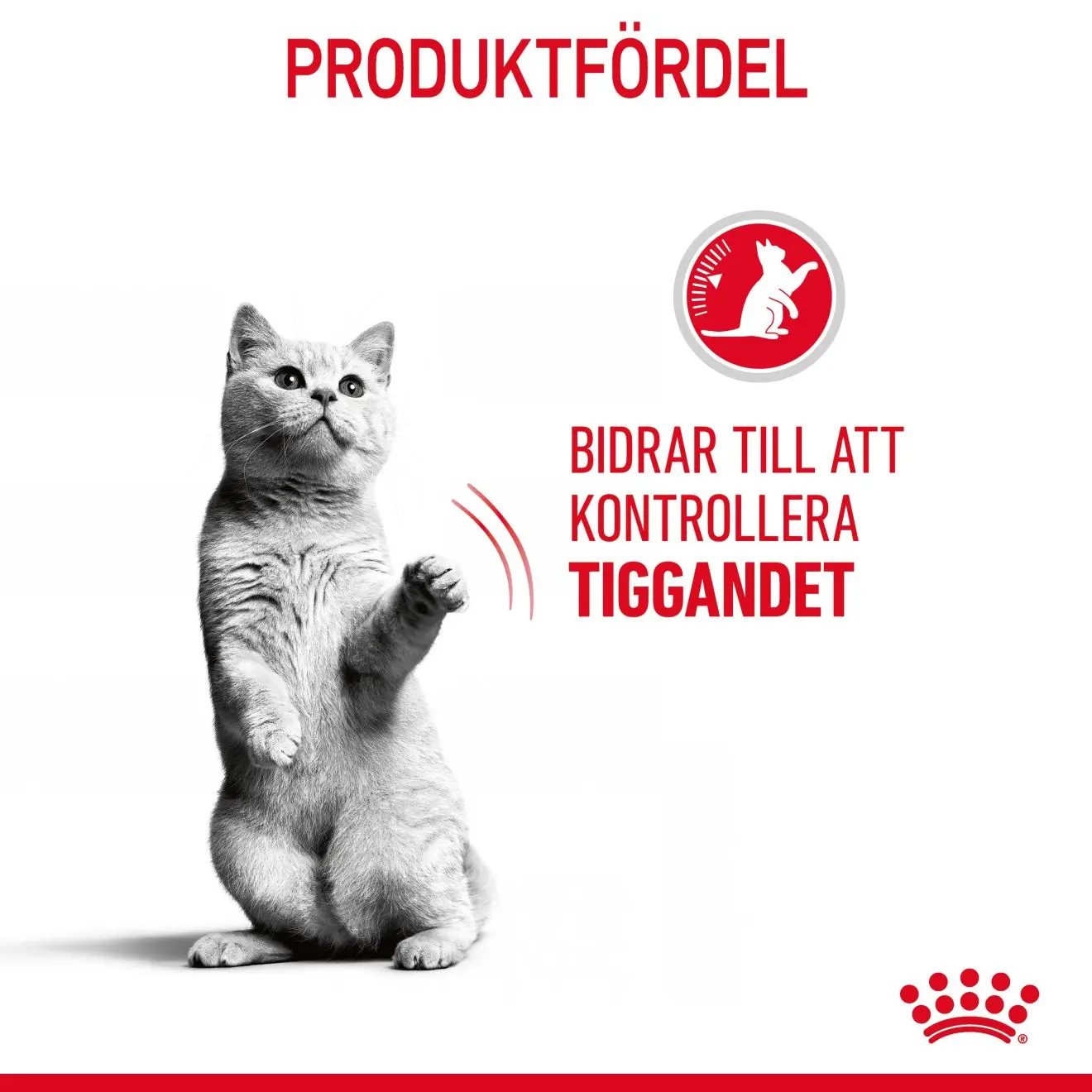 Feline Care Nutrition Appetite Control Care kissan kuivaruoka