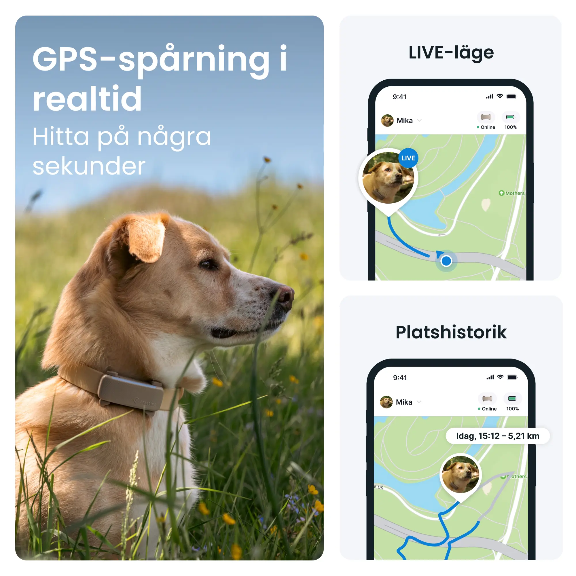 GPS-paikannin koiralle Koira 6 - ruskea