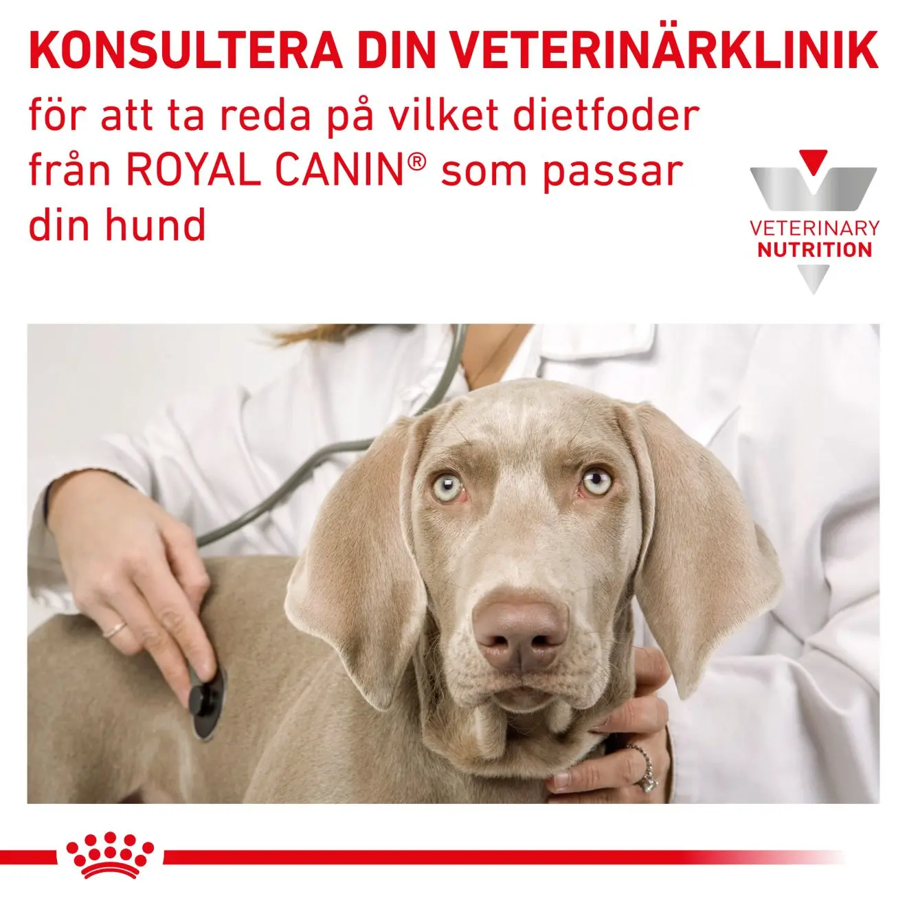 Gastrointestinal Low Fat Loaf Våtfoder för hund