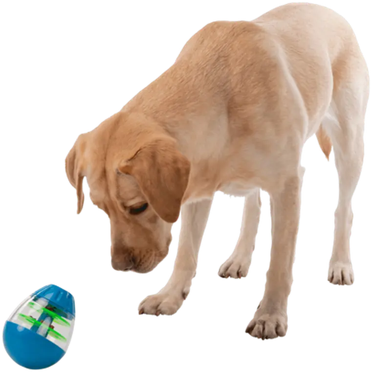 Roly Poly Snack Egg