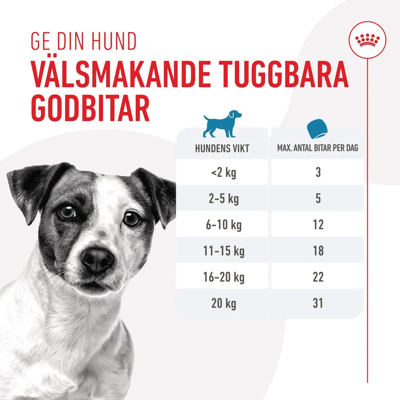 Royal Canin Training Treats – træningsgodbidder til hunde fra 6 mdr.