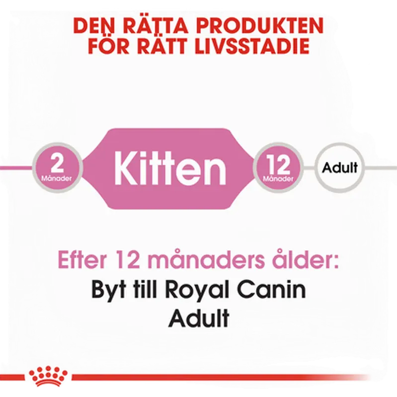 Kitten kissanpennun kuivaruoka