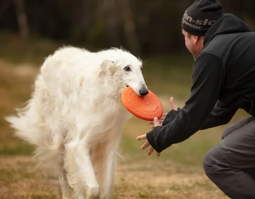 Dog flying disc one size
