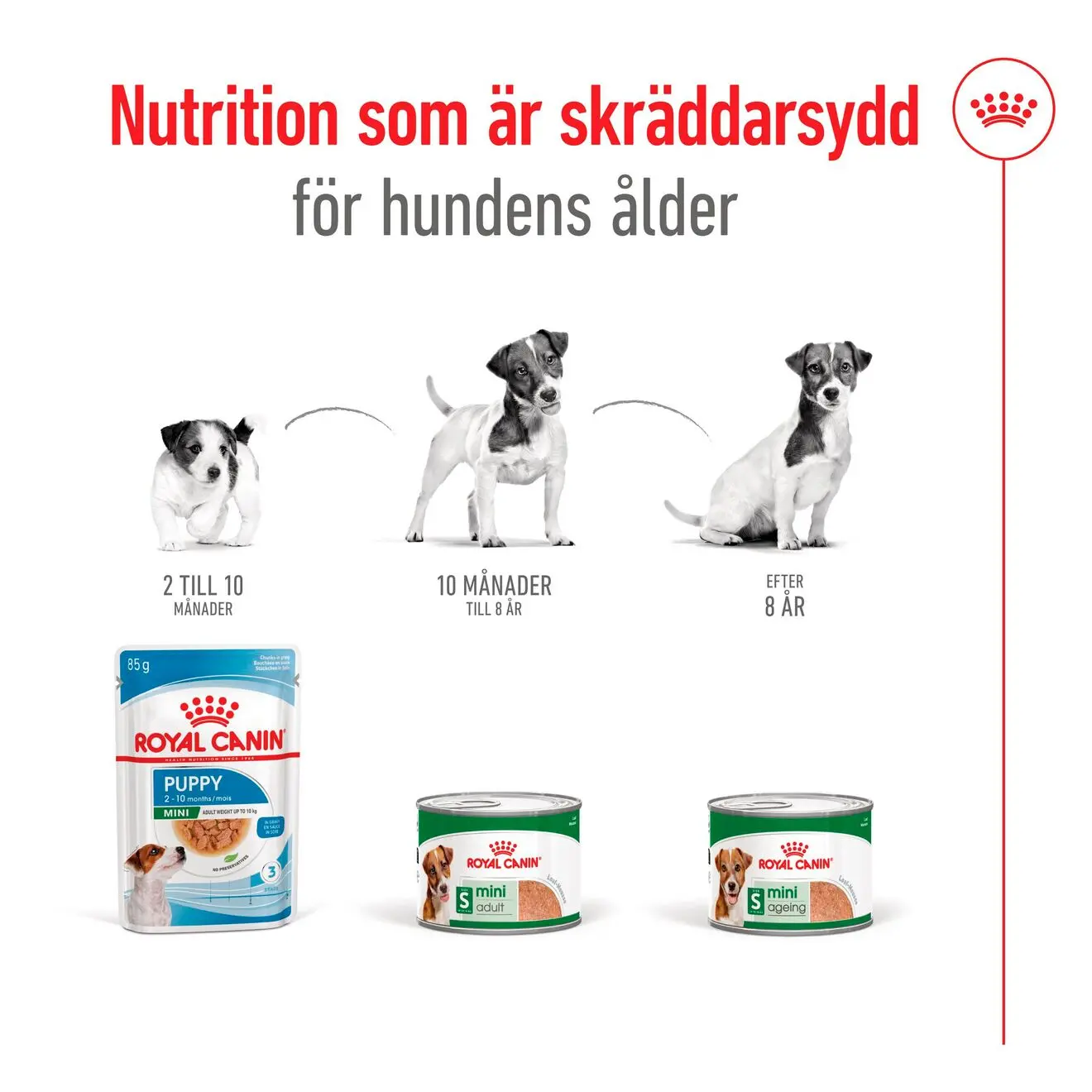 Mini Ageing Loaf Märkäruoka koirille