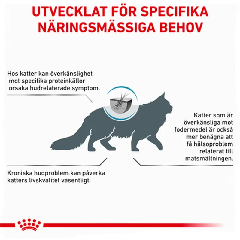 Derma Anallergenic torrfoder för katt