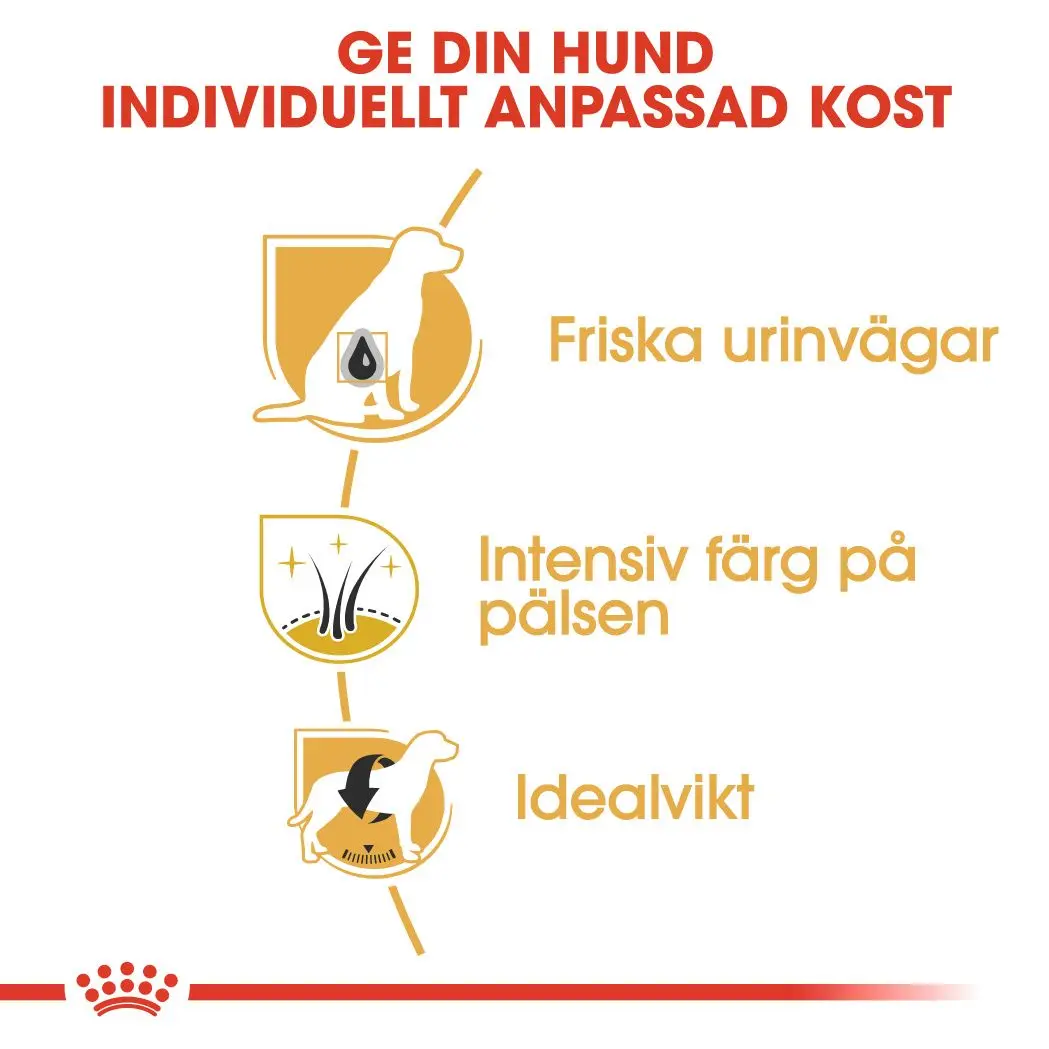 Kääpiösnautseri Aikuisten kuivaruoka koirille