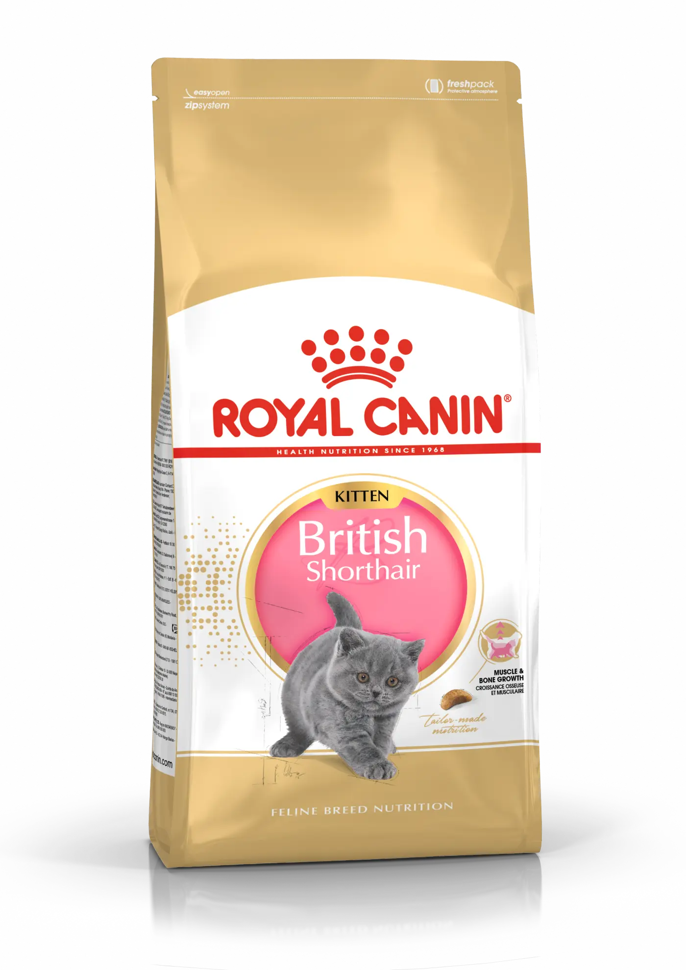 British Shorthair Kitten kissanpennun kuivaruoka