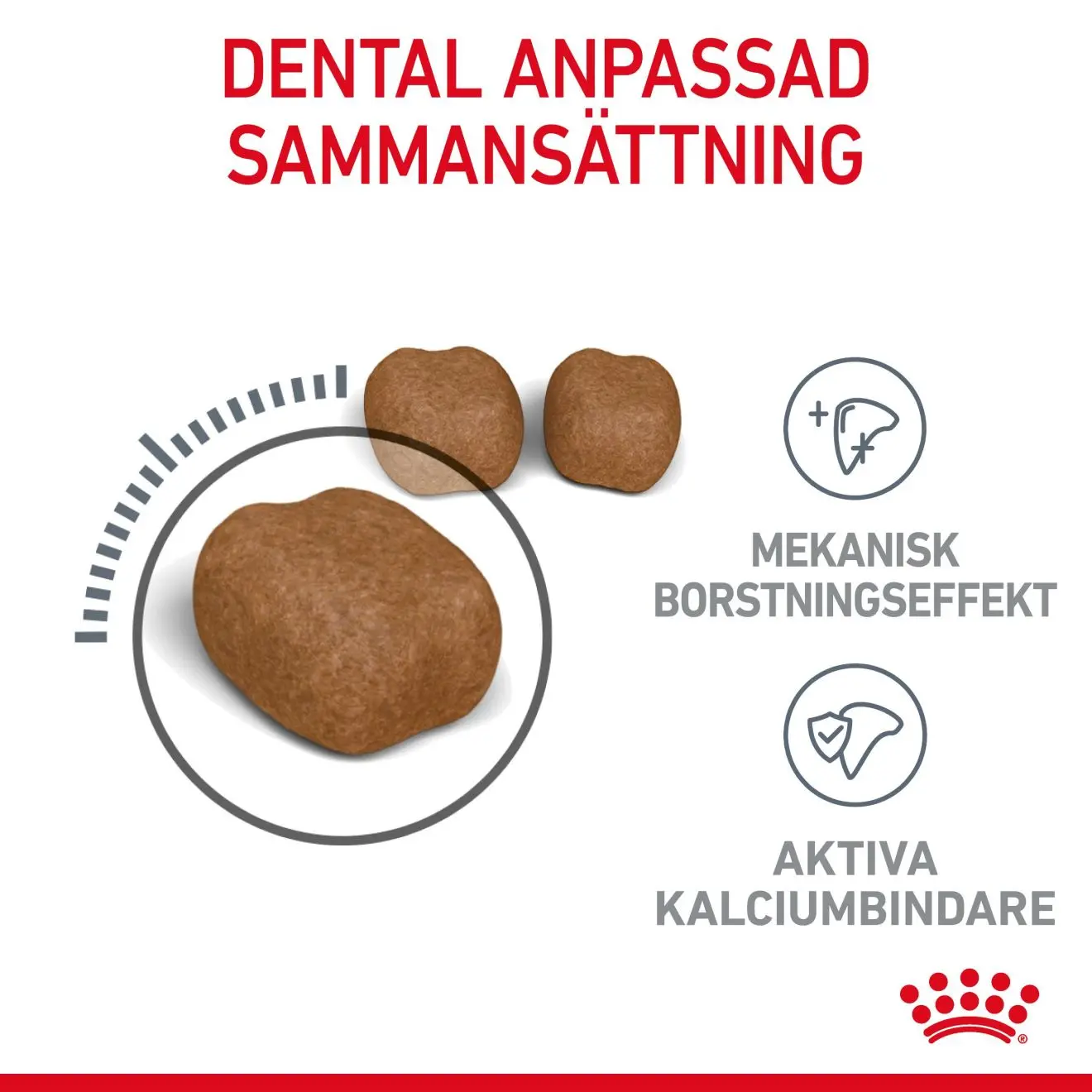Oral Care Adult kissan kuivaruoka