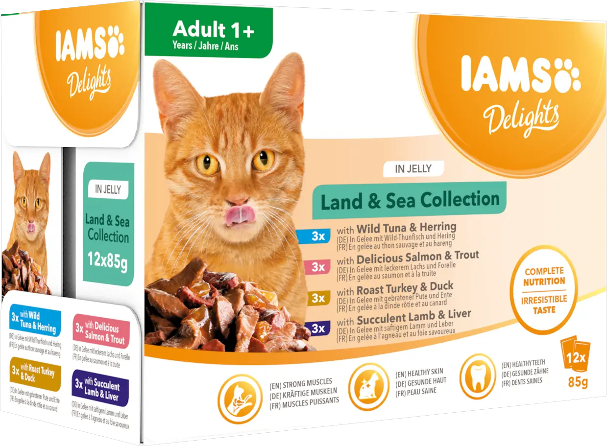 Cat Delights Jelly Multipack Land & Sea 12x85g