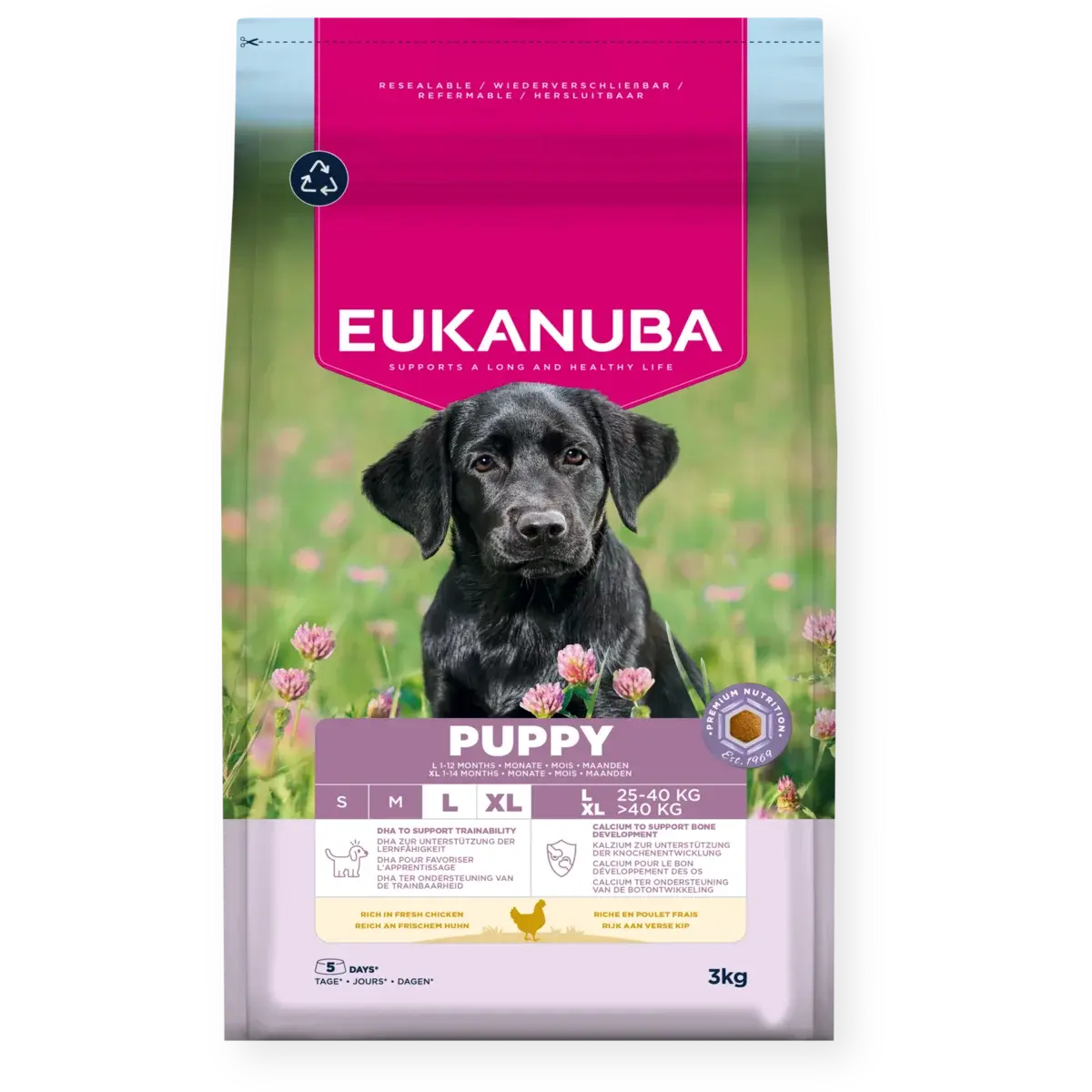 Dog Puppy Large 3 kg