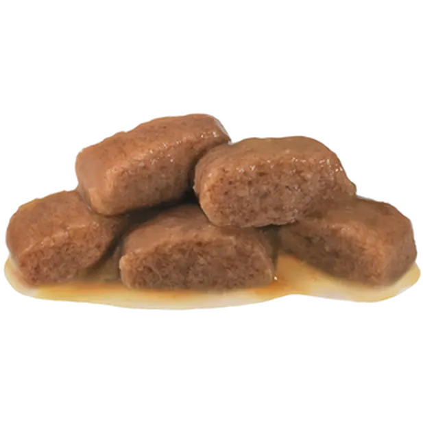 Gastro Intestinal Moderate Calorie Slices In Gravy kissan märkäruoka