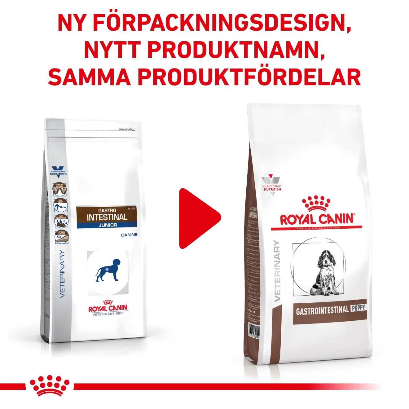 Gastrointestinal Puppy Kuivaruoka koirille