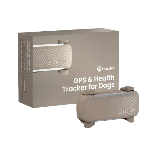 GPS-paikannin koiralle Koira 6 - ruskea