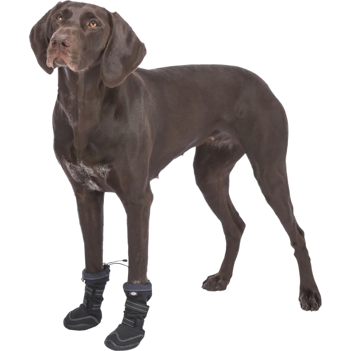 Paw Protection Walker Active Long