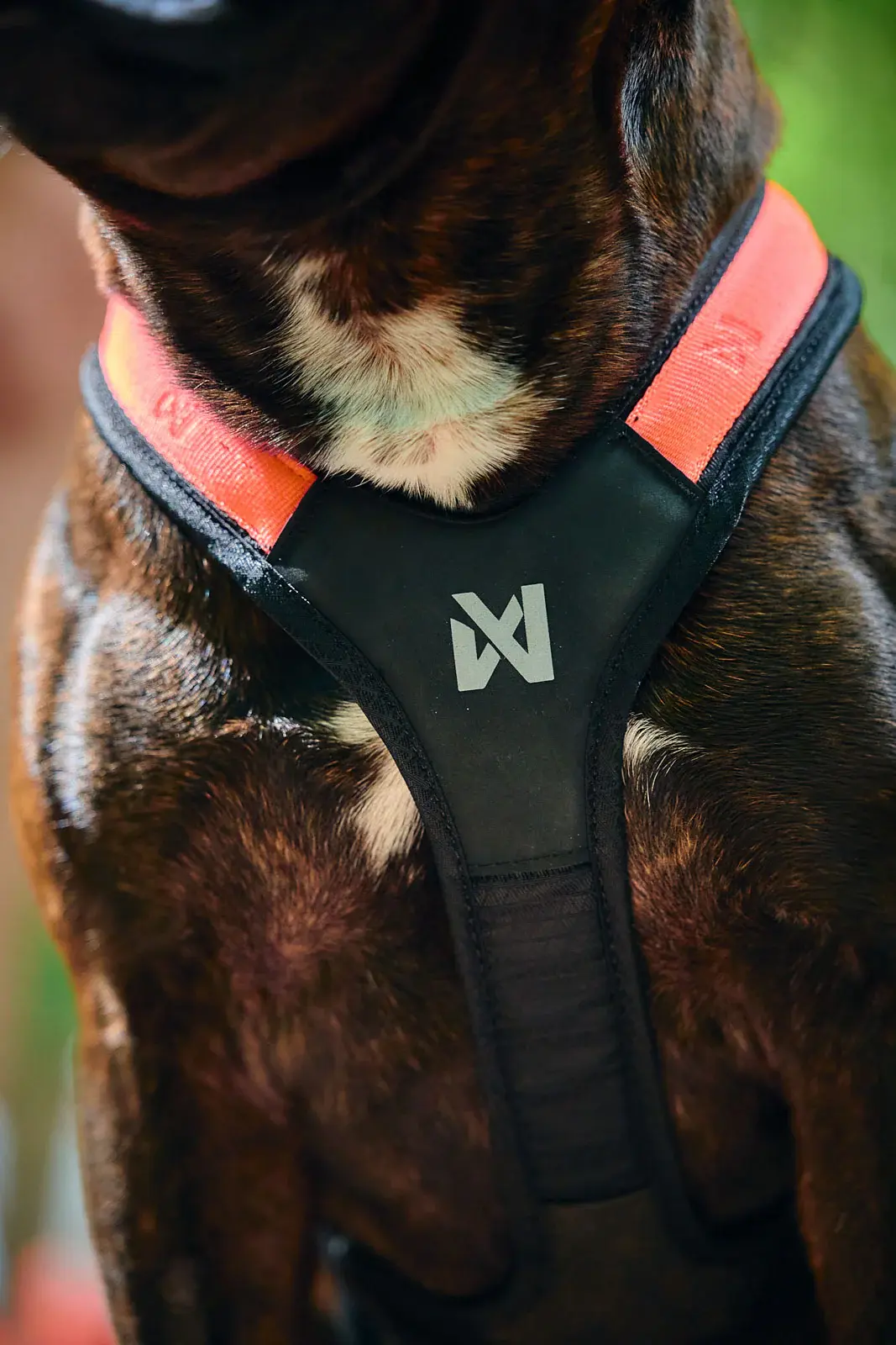 Non-stop dogwear Rush harness Sele