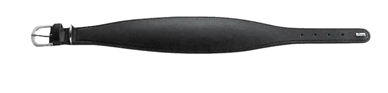 Hundhalsband Greyhound Super Soft Svart