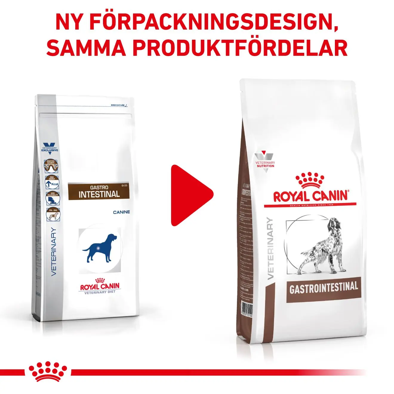 Gastrointestinal Torrfoder för hund
