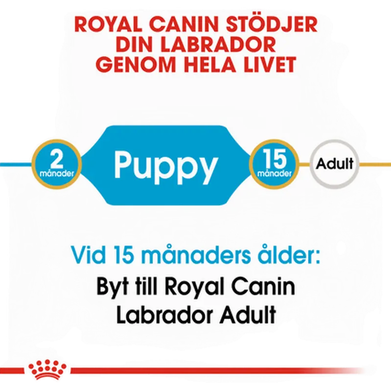Labradorinnoutaja Puppy Kuivaruoka pennuille