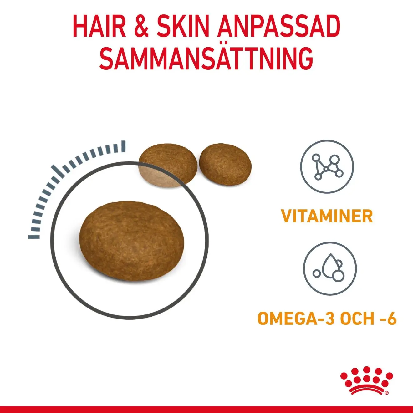 Hair & Skin Care Adult kissan kuivaruoka