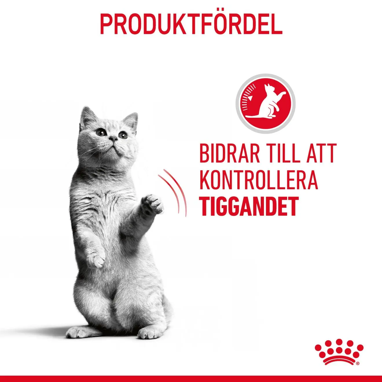 Feline Care Nutrition Appetite Control Care kissan märkäruoka kastikkeessa