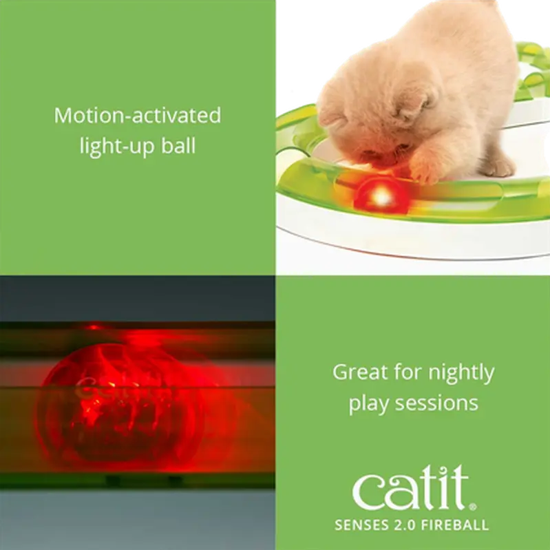 Senses 2.0 Fireball