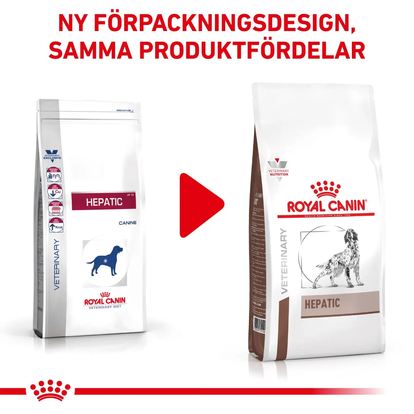 Hepatic Torrfoder för hund