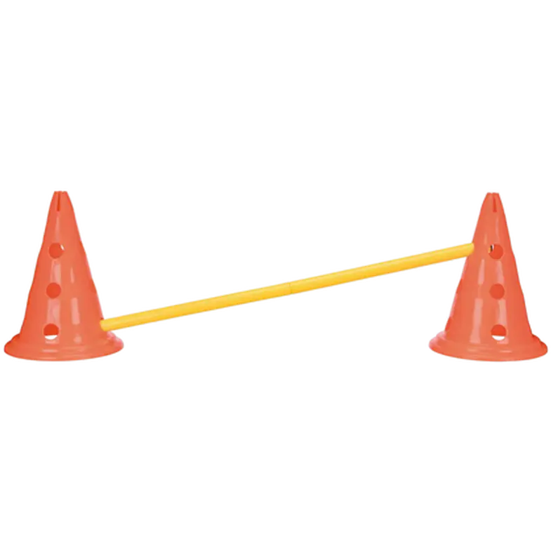 Dog Activity Obstacles set