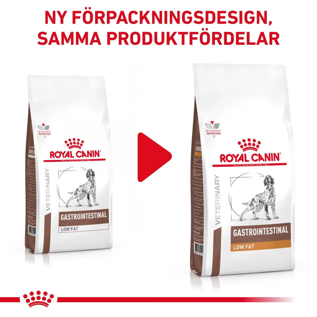 Gastrointestinal Low Fat Torrfoder för hund