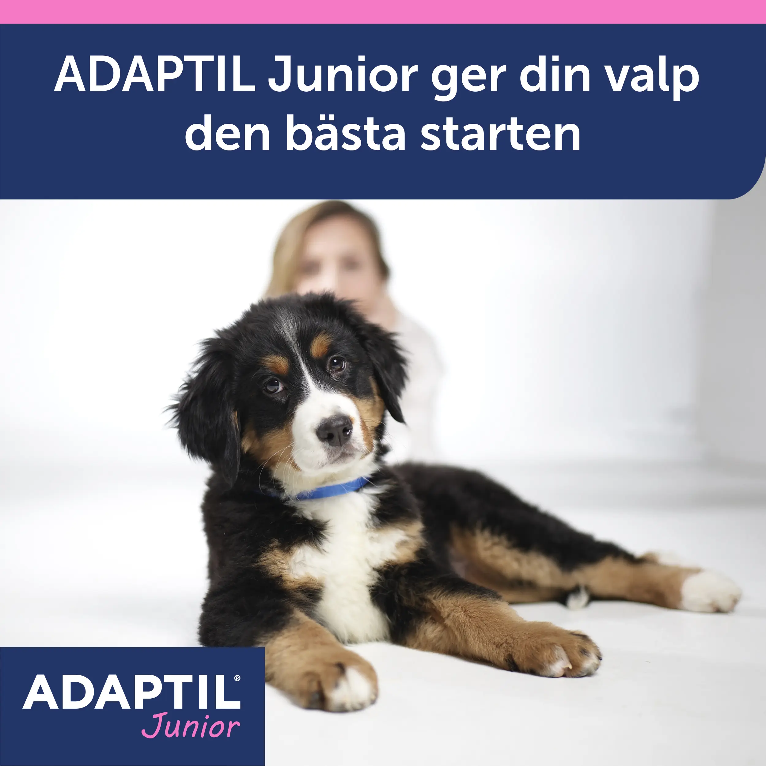Calm Junior - Pentukaulapanta