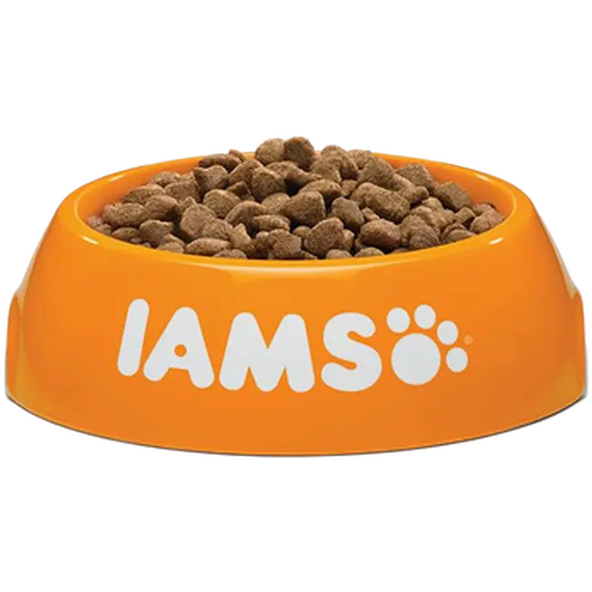 Cat Adult Hairball Succulent Roast Chicken