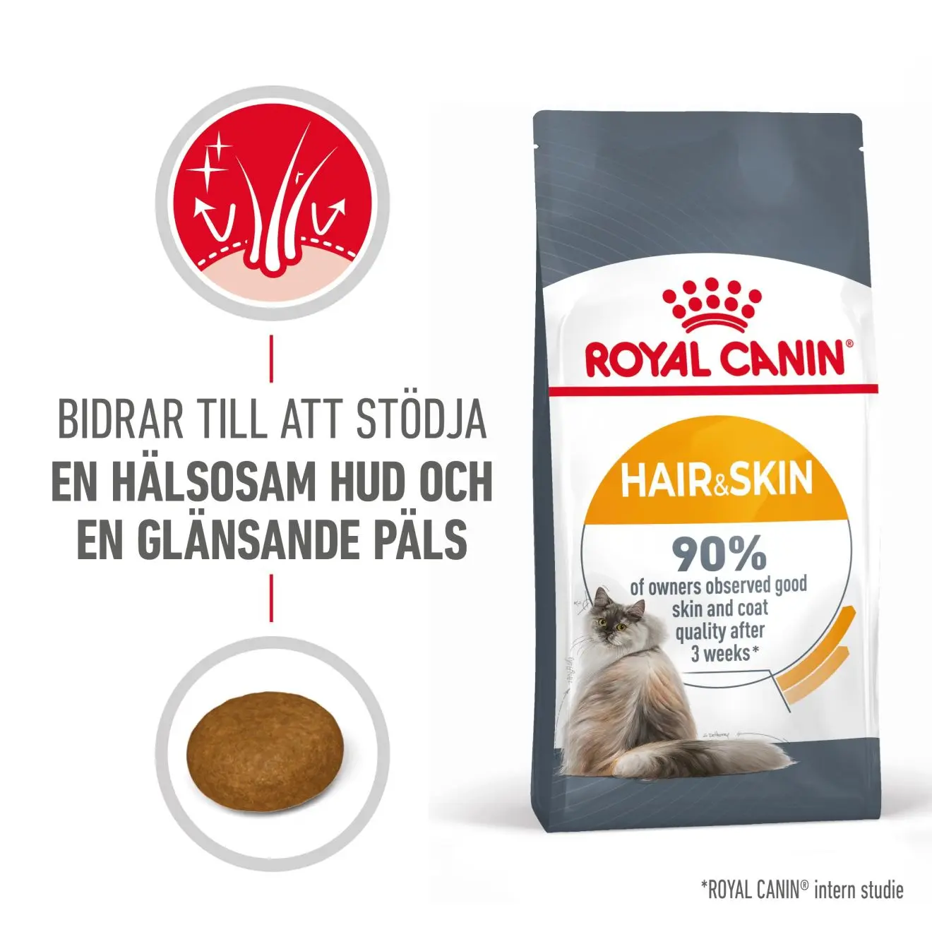 Hair & Skin Care Adult kissan kuivaruoka