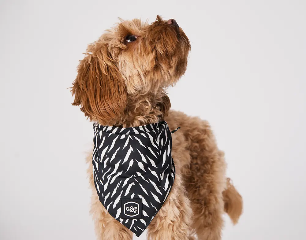 Bandana Finessish