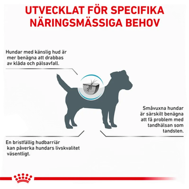 Derma Skin Care Small Dog kuivaruoka koirille
