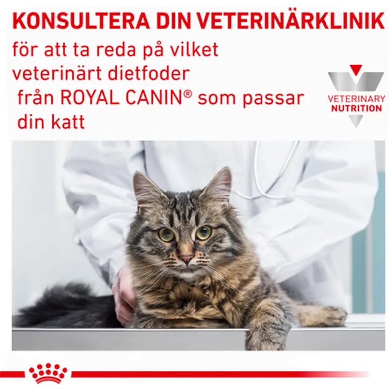 Derma Anallergenic torrfoder för katt