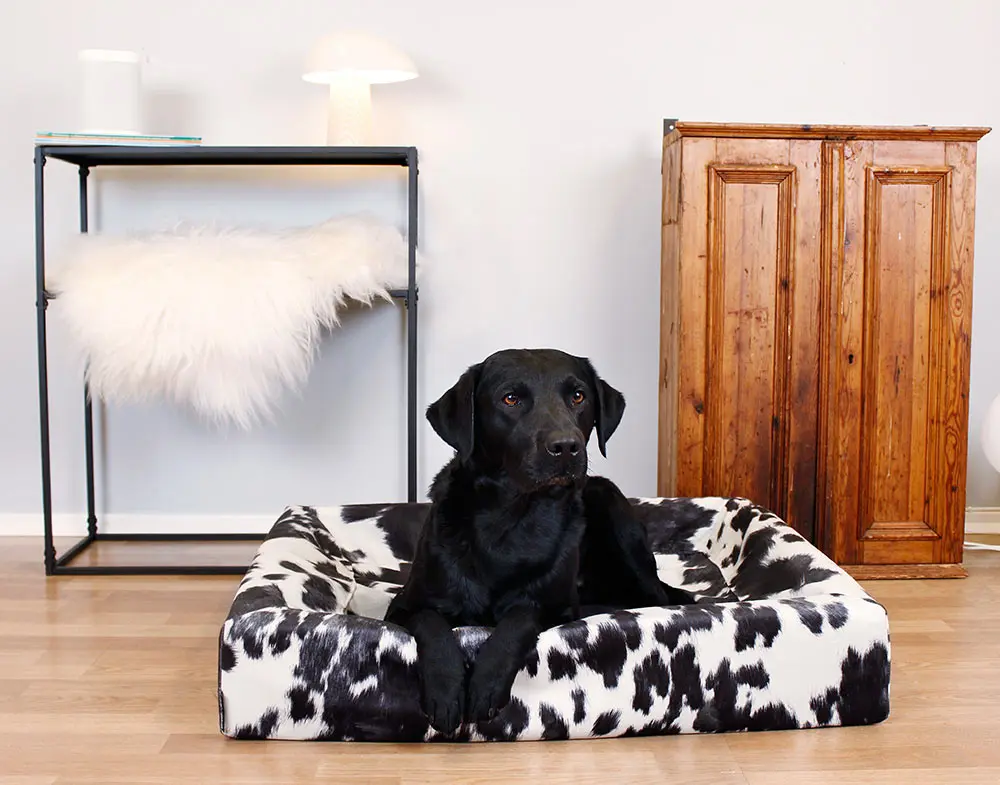 Kannet Premium Cow kuviollinen