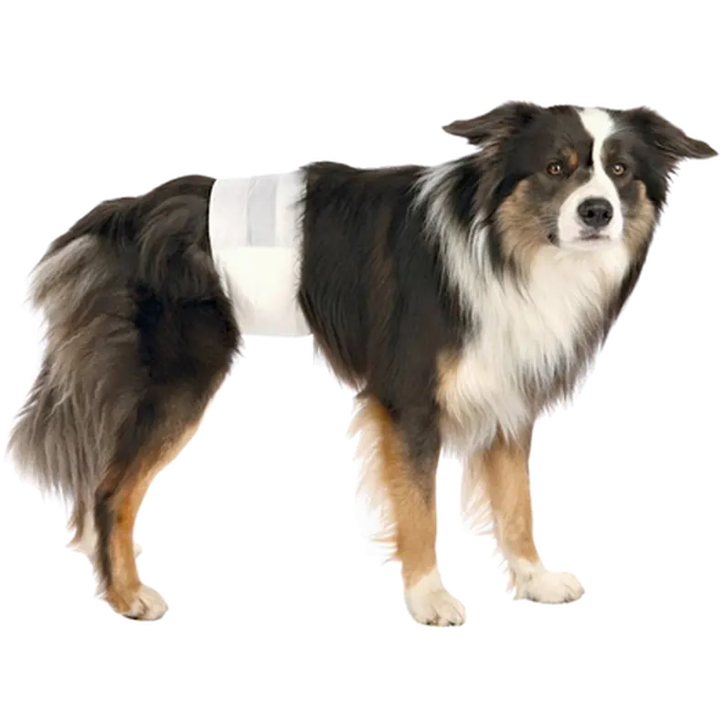 Diapers for Male Dogs Disposable Small/Medium 30-46 cm