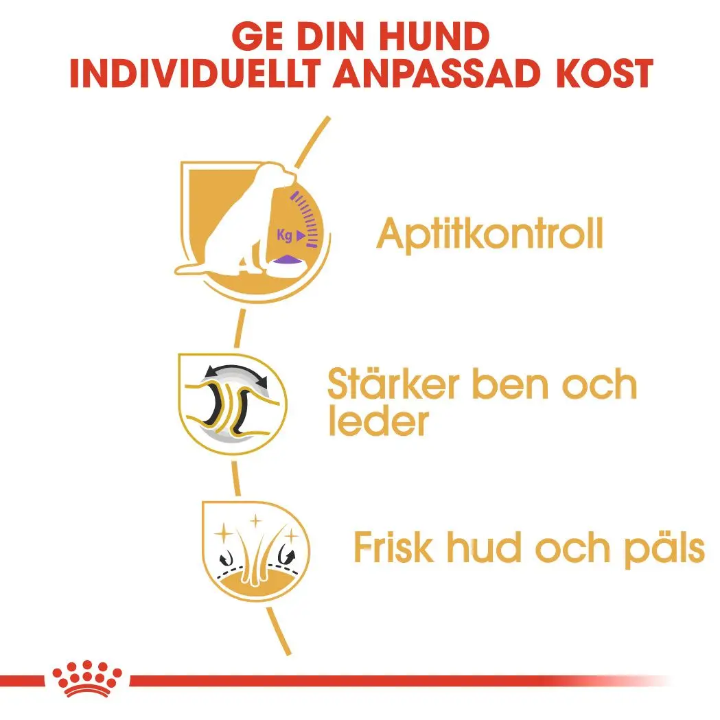 Labradorinnoutaja steriloitu aikuisten kuivaruoka