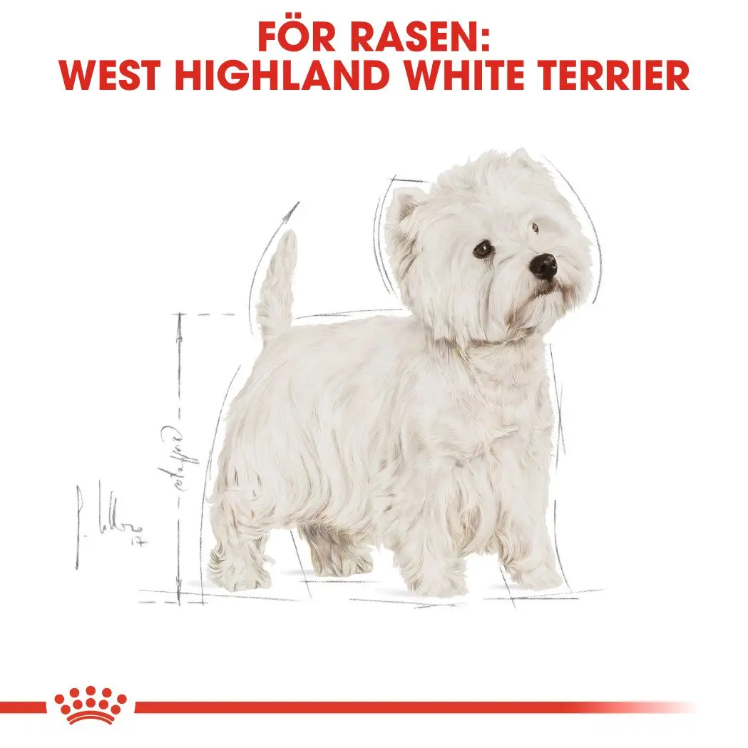 Breed West Highland Terrier Adult Dry koiranruoka