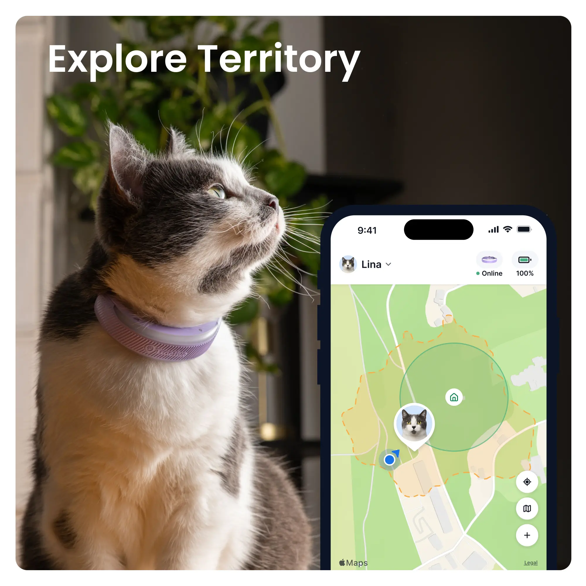 CAT 6 Mini GPS Lavendel