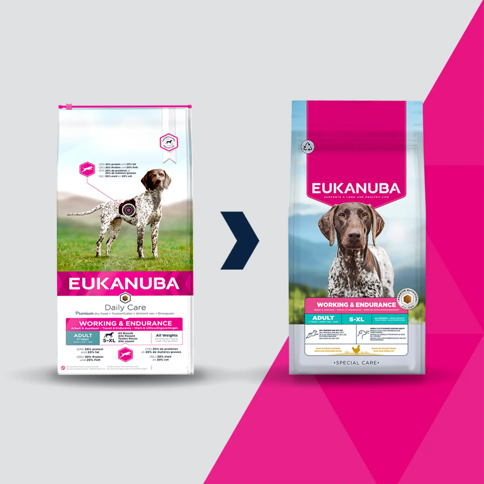 Dog Working & Endurance