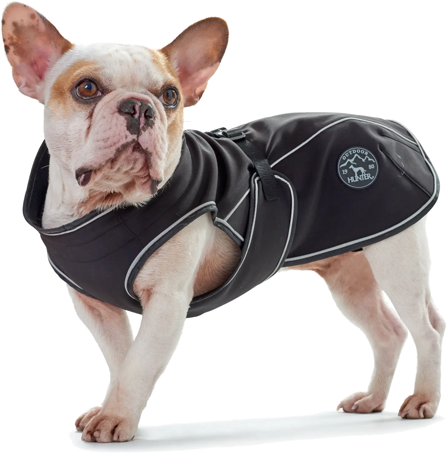 Dog Coat Uppsala Softshell
