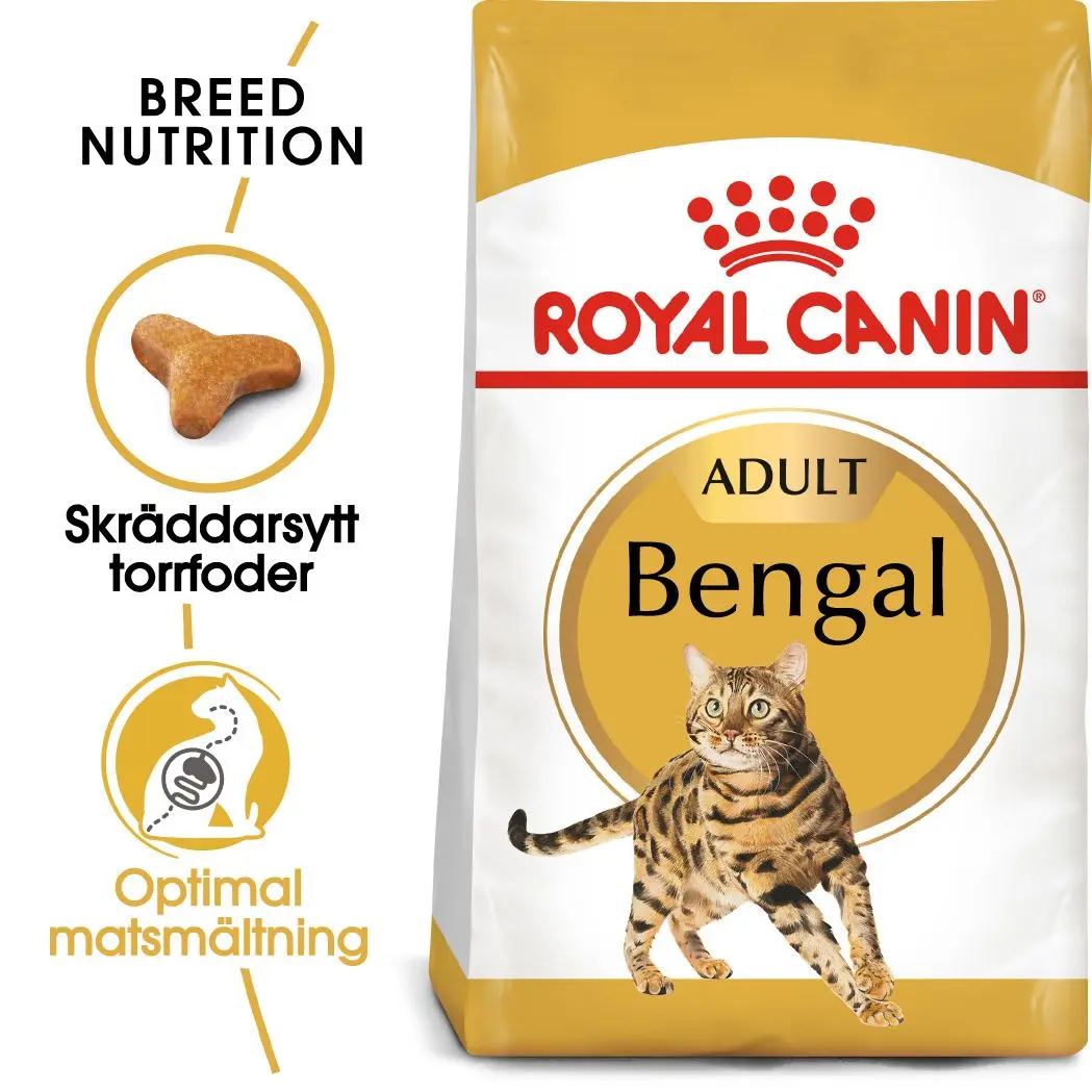 Bengal Adult kissan kuivaruoka