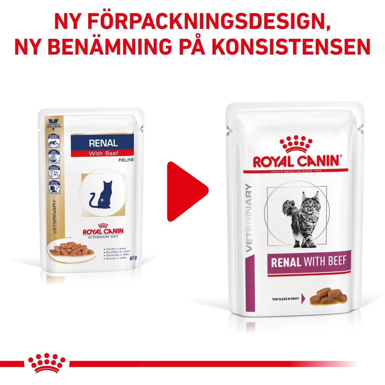 Renal kissan märkäruoka