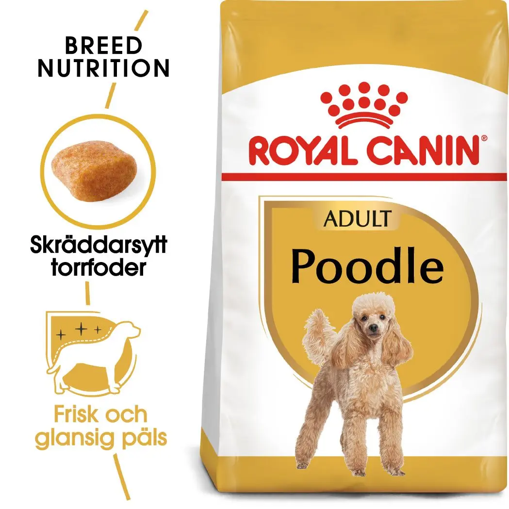 Poodle Adult Dry food koirille