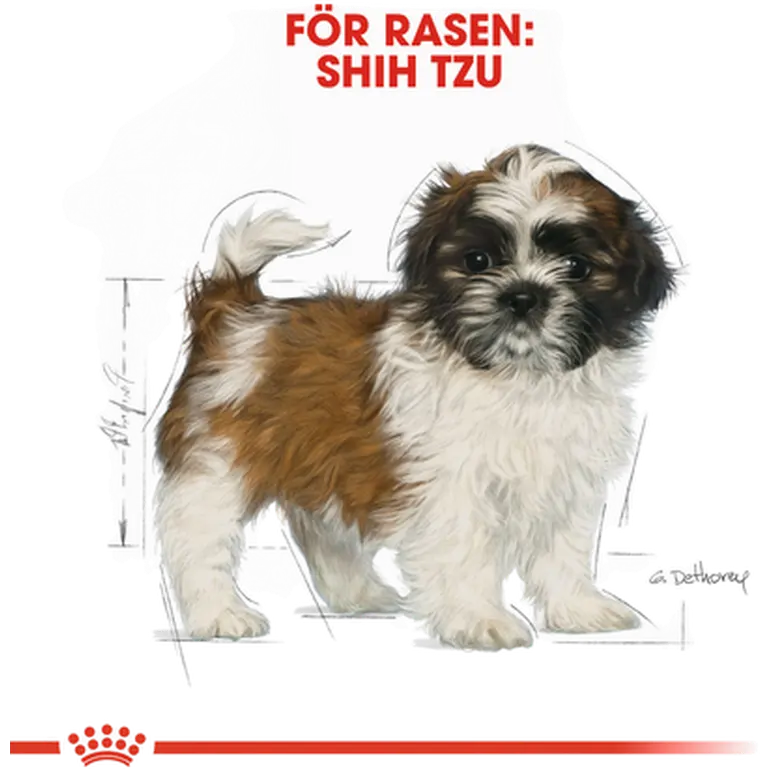 Shih Tzu Puppy Kuivaruoka pennuille