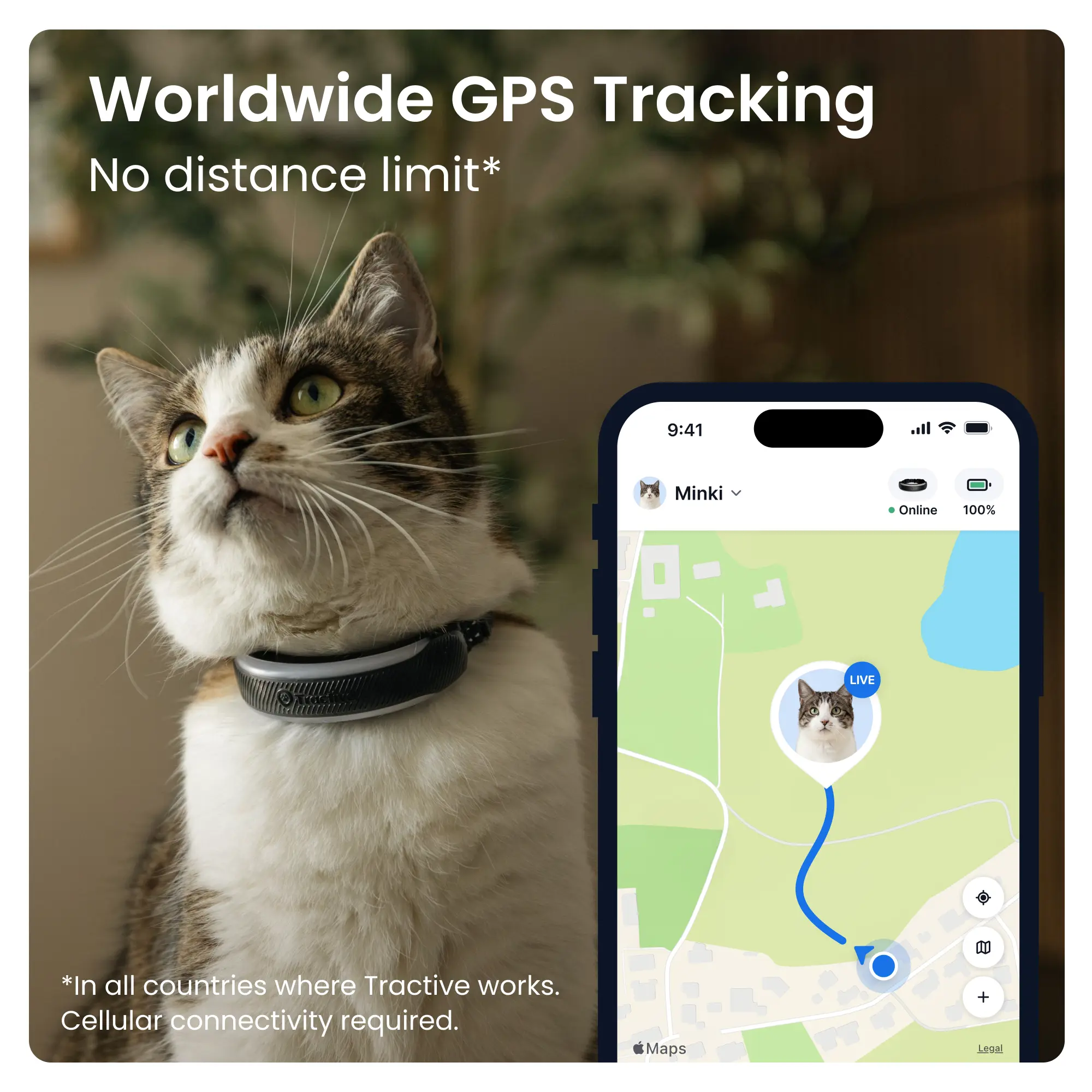 CAT 6 Mini GPS