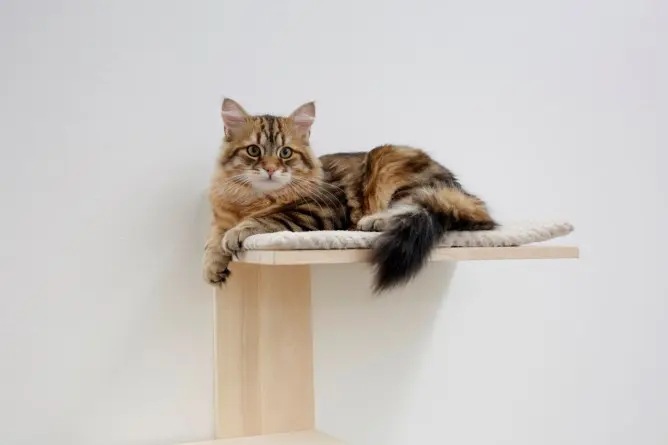 Seinään ripustettava taimitarhan puu Timber