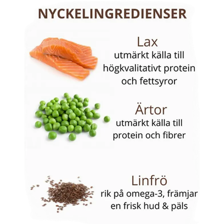 Cat Adult Sterilised Grain Free Salmon Dry